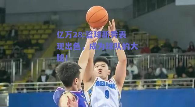 亿万28:篮球新秀表现出色，成为球队的大腿！
